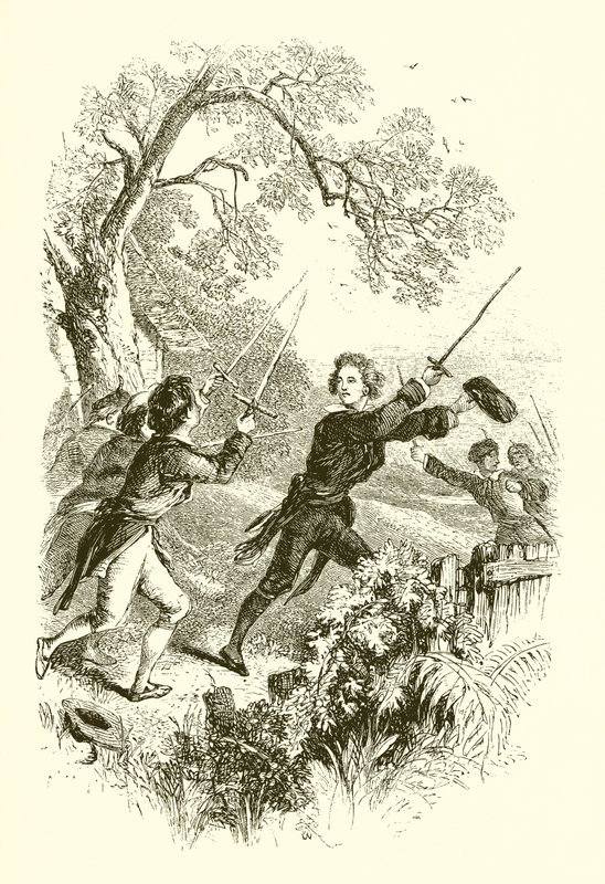 Genç Washingtons askeri özlemleri by English School