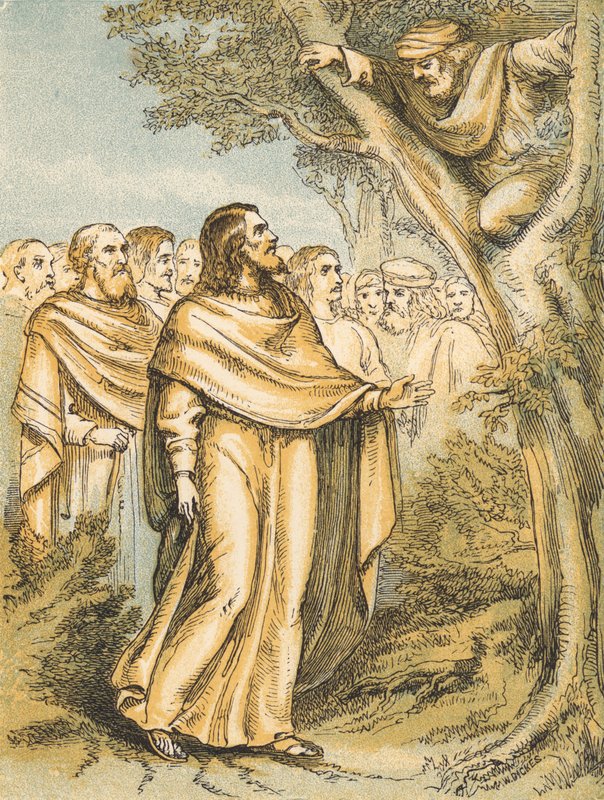 Zacchaeus (renkli gravür) by English School