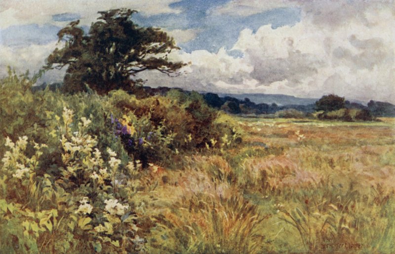 yükselen zemin by Ernest Benger or Berenger