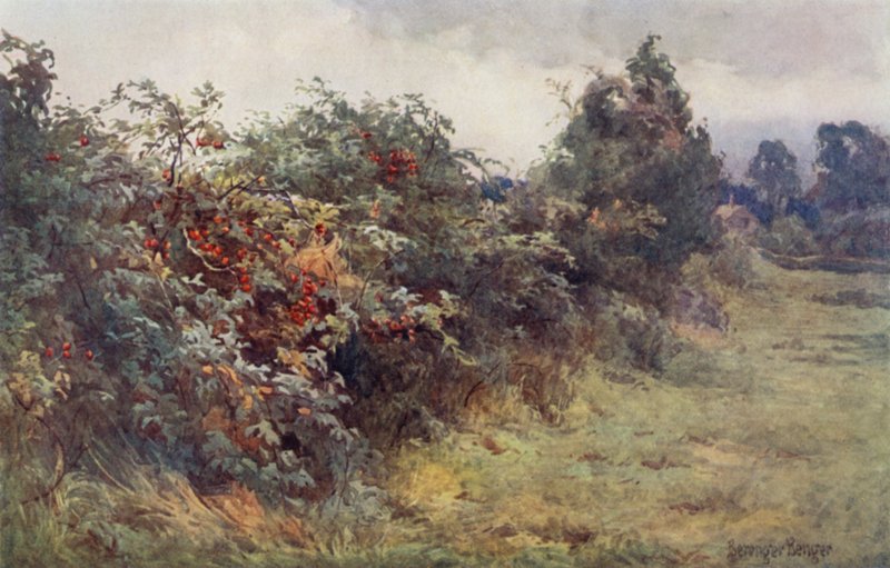 Olgunluğun Vahiy by Ernest Benger or Berenger