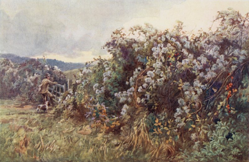Gezginler" Neşesi by Ernest Benger or Berenger