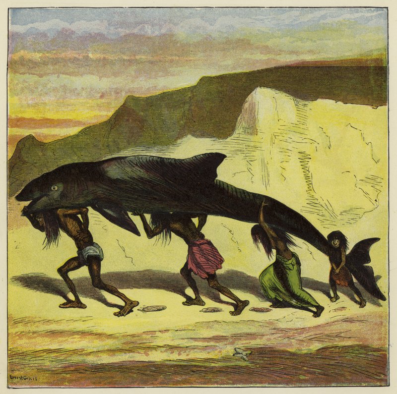 Harika komik balık by Ernest Henry Griset