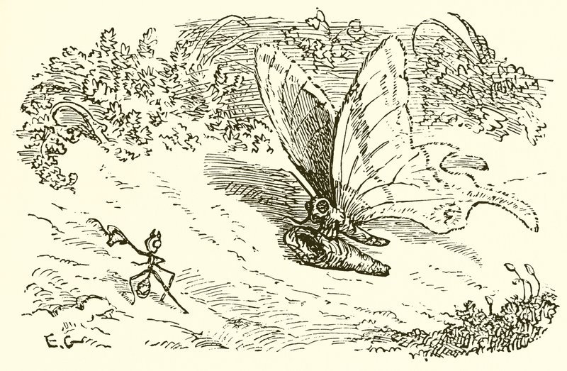 Karınca ve Krizalit by Ernest Henry Griset