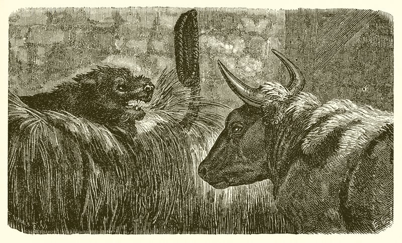 Yemlikteki köpek by Ernest Henry Griset