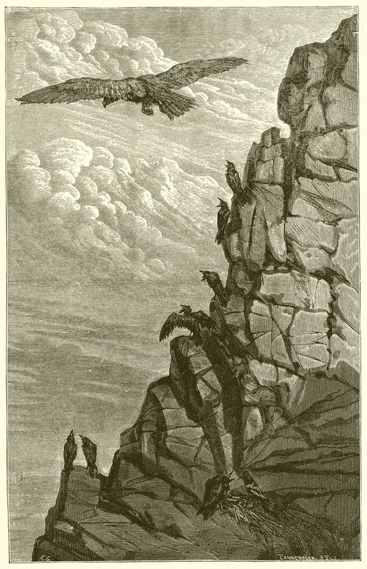 Kartal ve Karga by Ernest Henry Griset