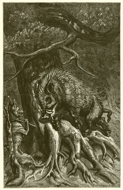 Tilki ve Yaban Domuzu by Ernest Henry Griset