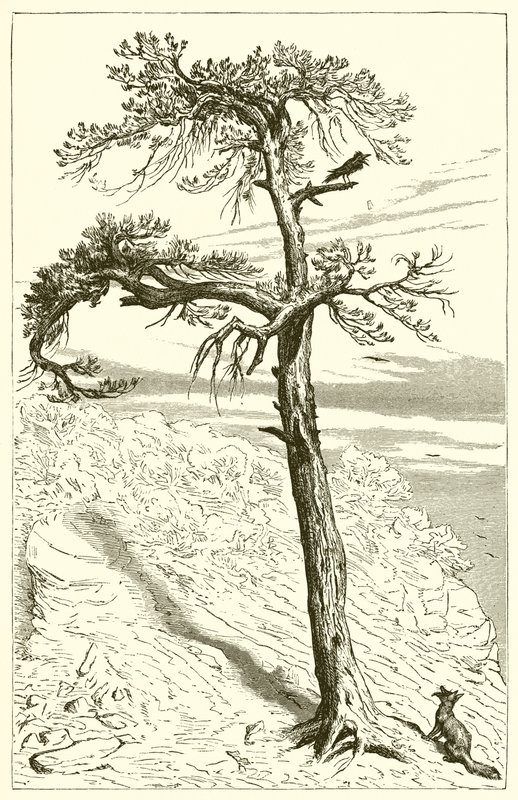 The Fox and the Crew  by Ernest Henry Griset