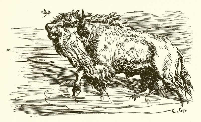 Sivrisinek ve Boğa by Ernest Henry Griset