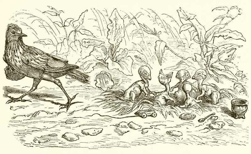 Tarla kuşu ve yavruları by Ernest Henry Griset