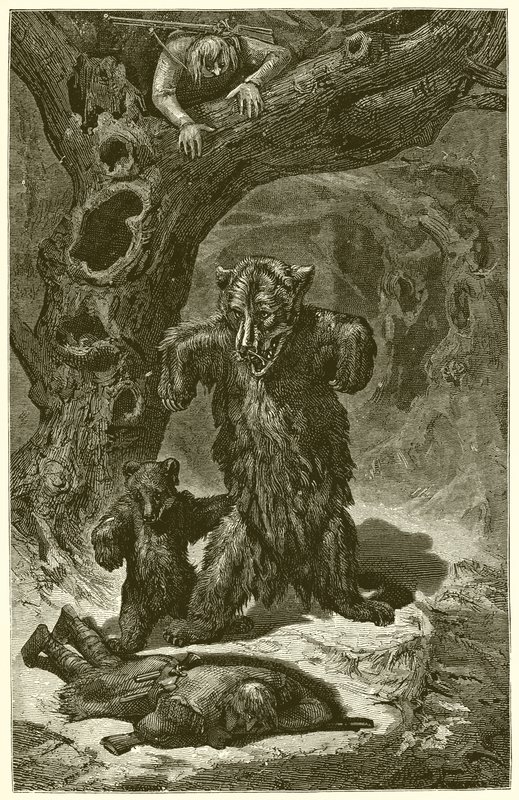 Yolcular ve Ayı by Ernest Henry Griset