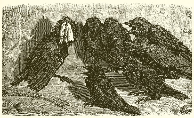 boşuna karga by Ernest Henry Griset