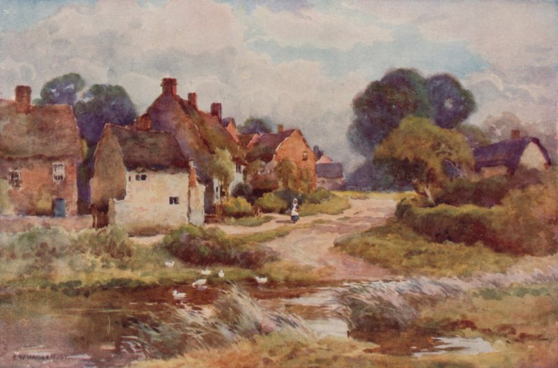 "Dilenci Süpürgesi" (renkli taş) by Ernest William Haslehust