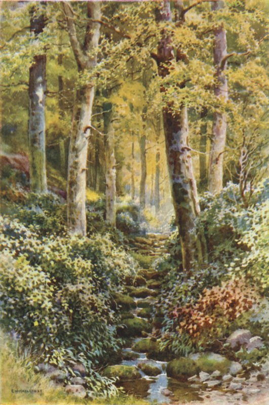 Fairlight Glen (renkli taş) by Ernest William Haslehust