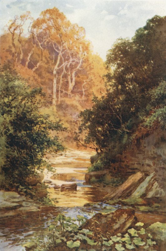Hayburn Wyke (renkli taş) by Ernest William Haslehust