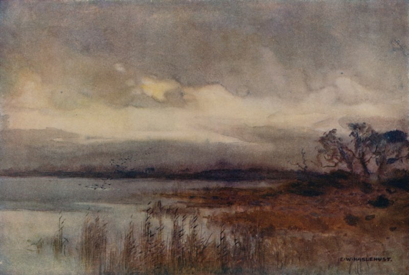 Hickling Geniş (renkli taş) by Ernest William Haslehust