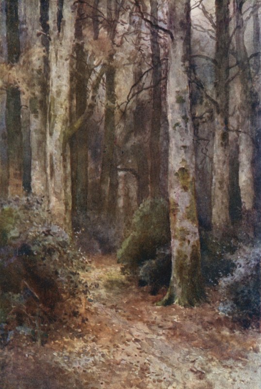 "Katedral" (renkli taş) by Ernest William Haslehust