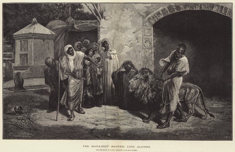 Marabout Kutsal Aslan, Cezayir oyma by Eugene Pavy