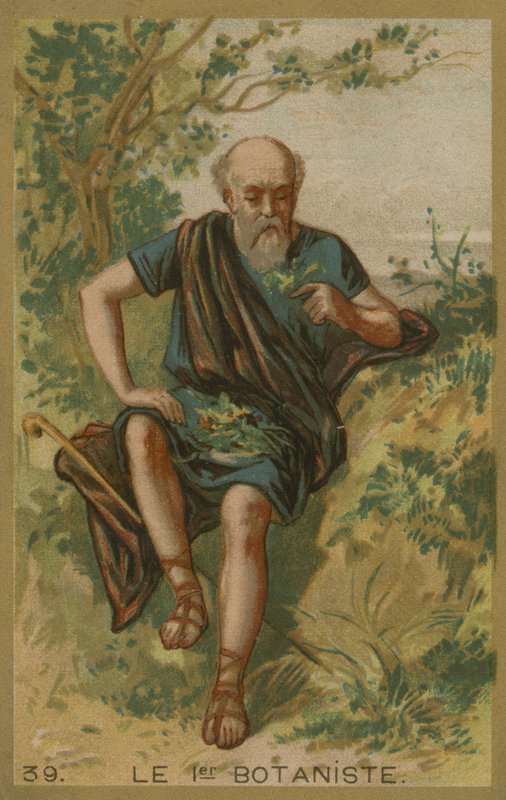 İlk botanikçi by European School
