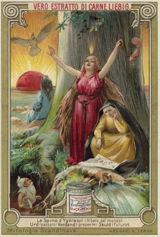ağaç Yggdrasil by European School