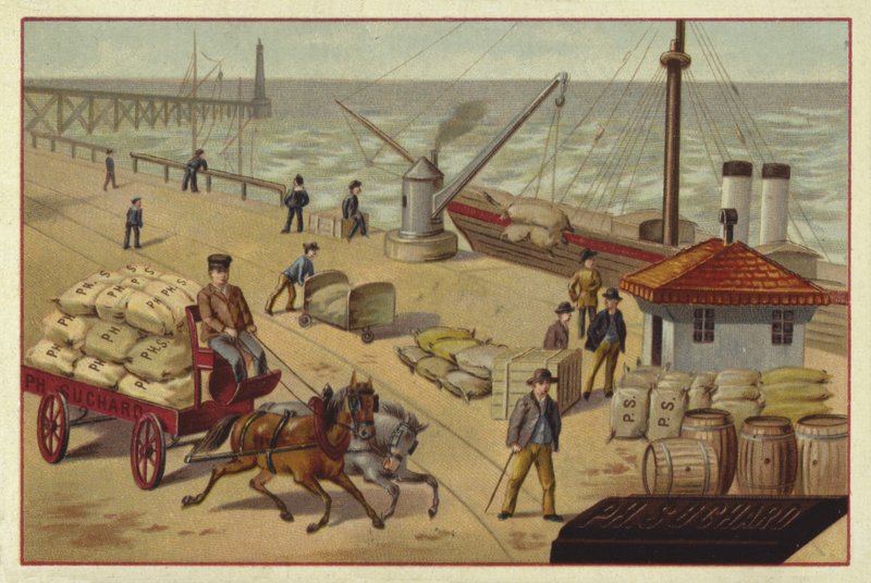 kakao taşıma by European School