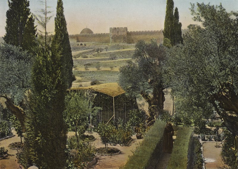 Gethsemane Bahçesi by European Photographer