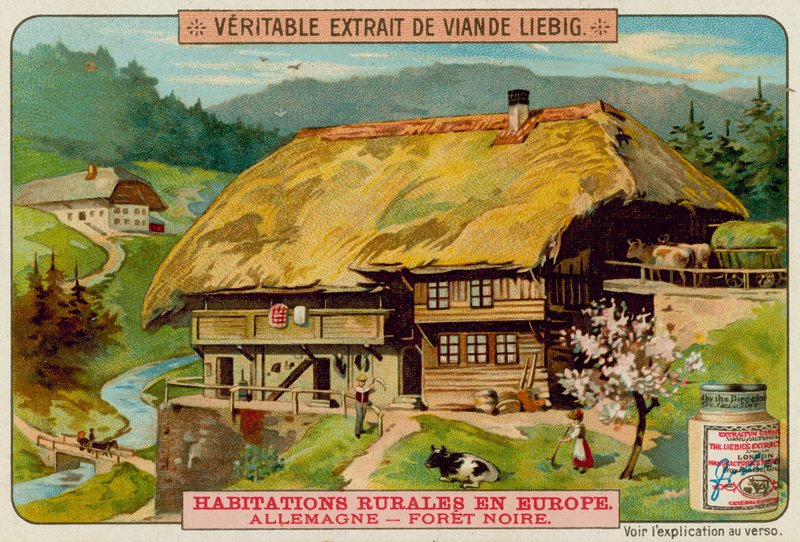Bir Alman Kır Evi by European School