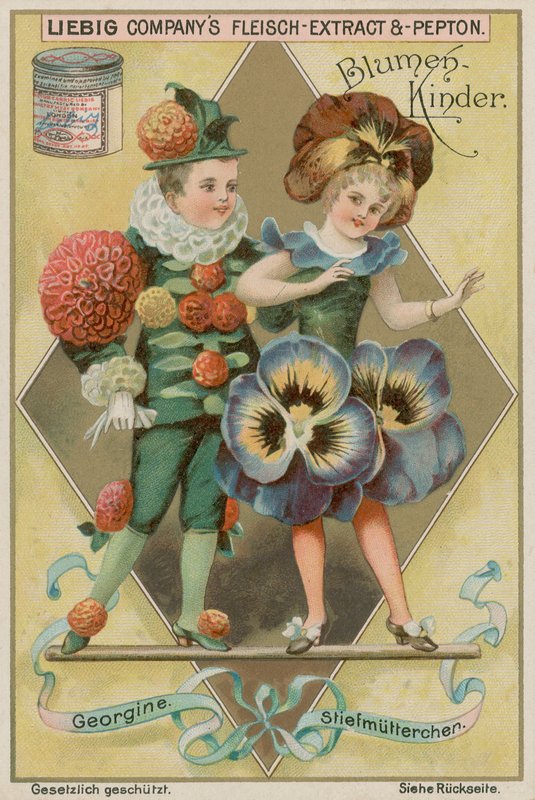 Dahlia ve Pansy by European School