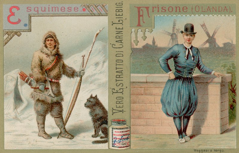 Eskimo ve Hollandaca by European School