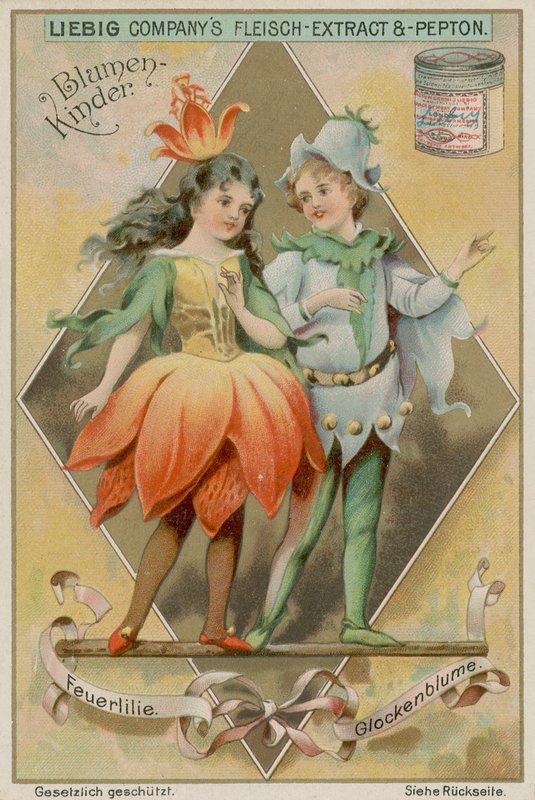 Ateş Zambak ve Bluebell by European School