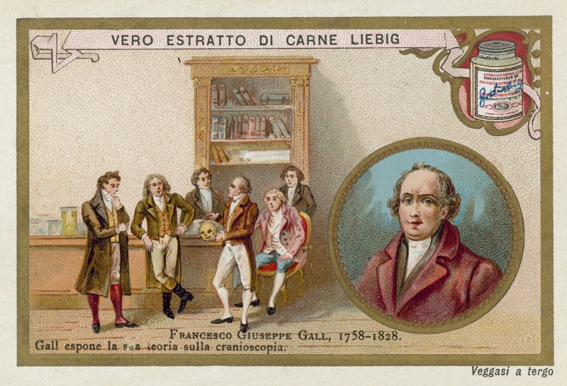 Franz Joseph Gall, Alman nöroanatomist ve fizyolog by European School