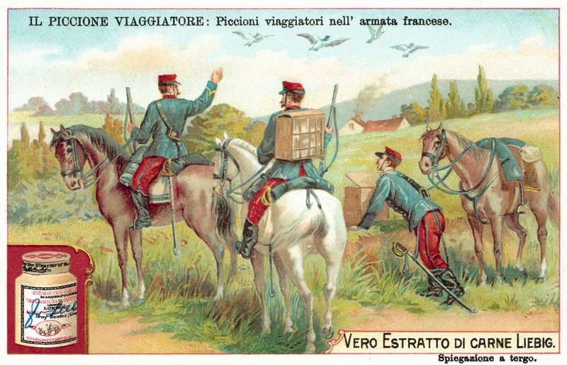 Fransız Ordusu taşıyıcı güvercinleri (chromolitho) by European School
