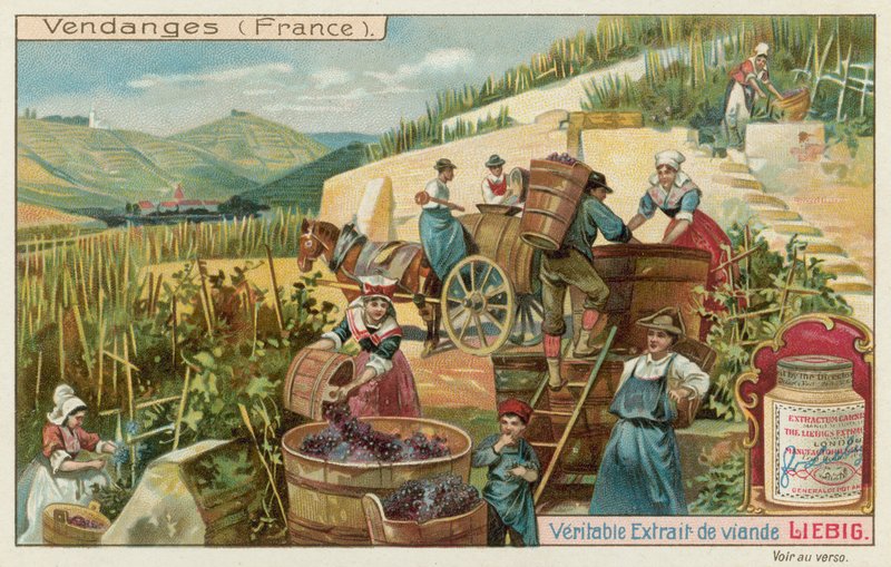 Fransa