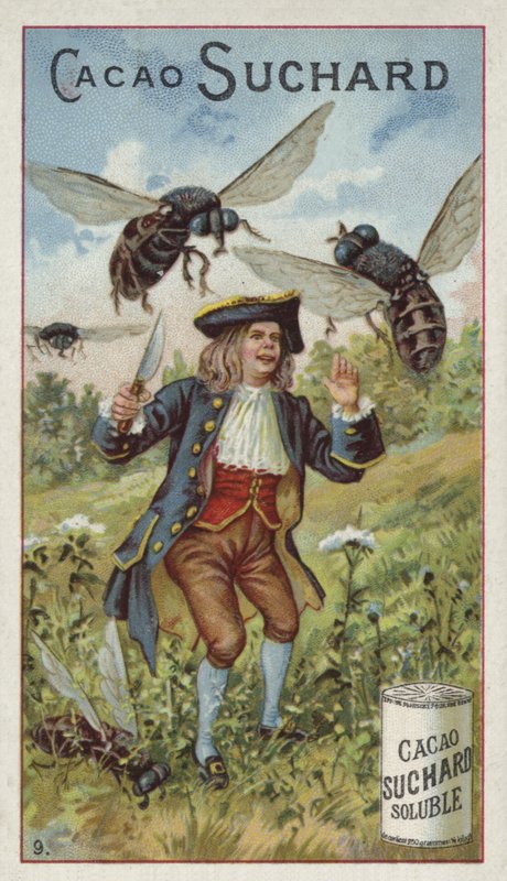 Gulliver Brobdingnag