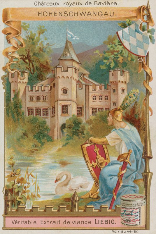 Hohenschwangau by European School