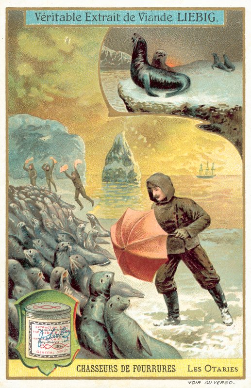 Av deniz aslanları (chromolitho) by European School