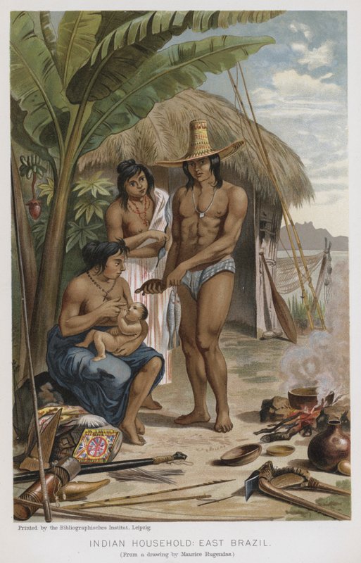 Hint Hanehalkı, Doğu Brezilya (chromolitho) by European School