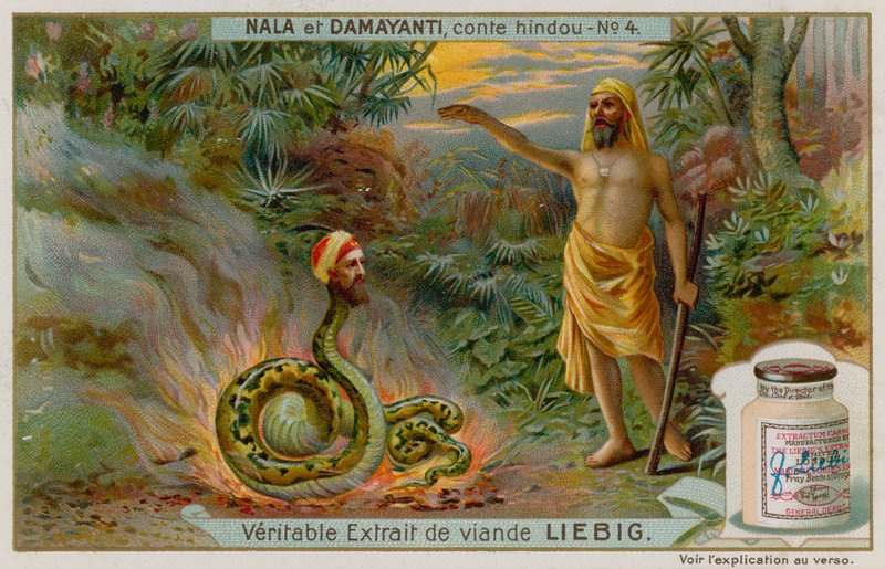 Nala Yılan Naga Karkotaka