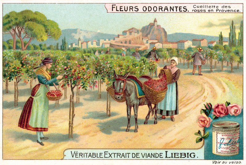 Provence