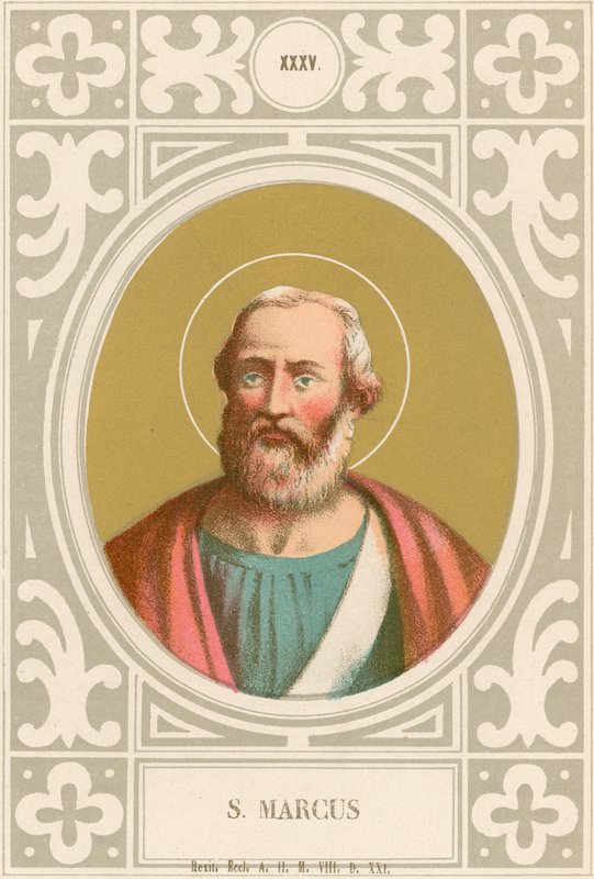 Marcus ile by European School