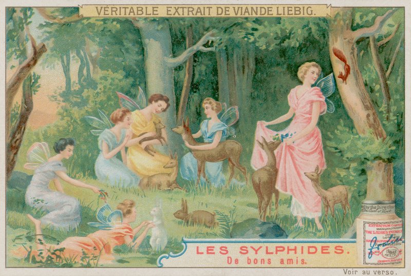 Sylphs ve Orman Hayvanları by European School