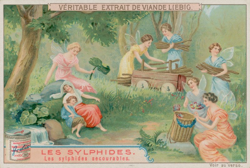 Yararlı Sylph