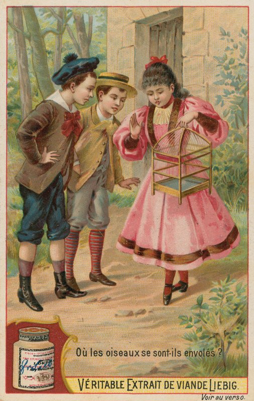 Kayıp Kuşlar by European School