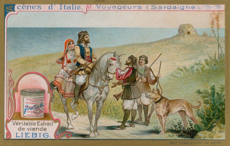 Sardunya