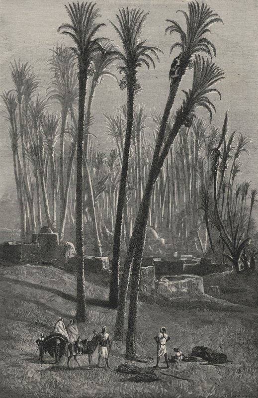 Sahra