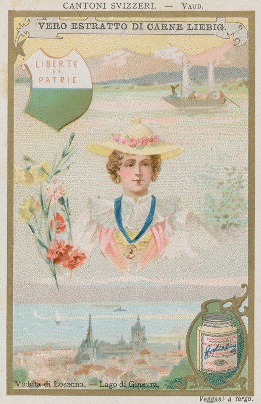 vaud by European School
