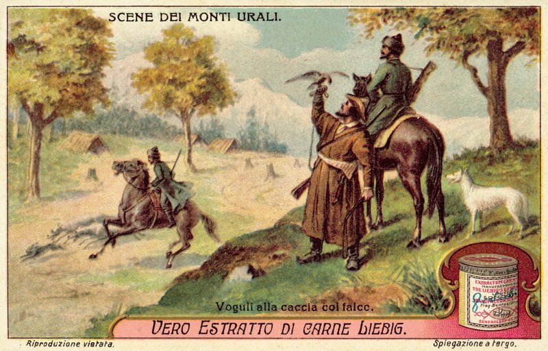 Şahinlerle avlanan Voguls (chromolitho) by European School