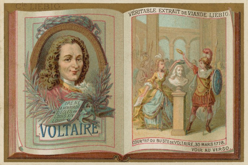 Voltaire by European School