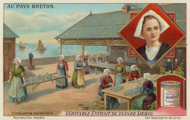 Sardalya hazırlayan kadınlar by European School