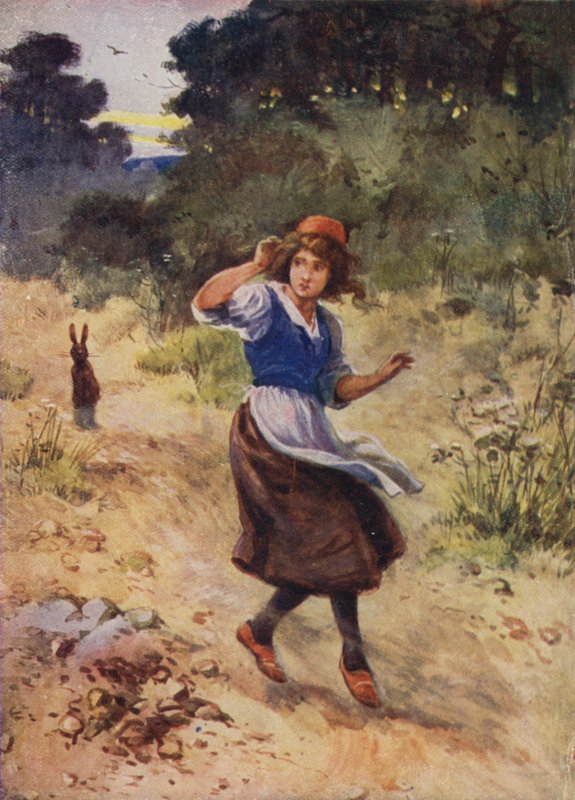 Kimliği belirsiz Hans Christian Andersen hikayesi by Evelyn Stuart Hardy