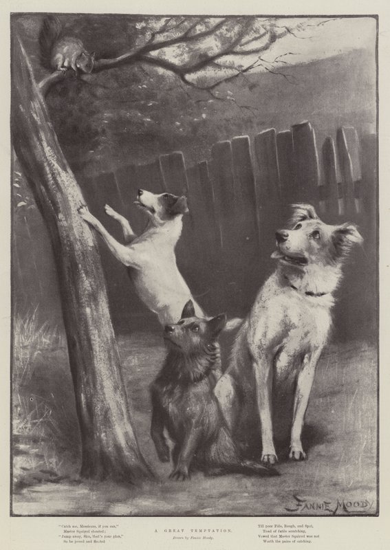 Karl II, hinn halti, konungur Napólí by Fannie Moody